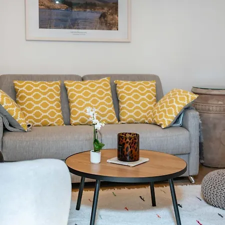 Beau 2 Pieces De Charme Avec Grande Terrasse Appartement Cannes